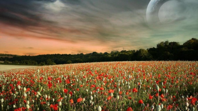 尊界S800 车内软包部分***用 0.2mm - 0.5mm 超细针脚缝制处于什么工艺水平?